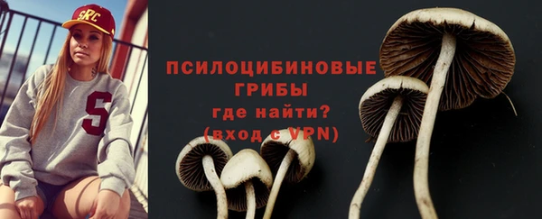амф Заволжье
