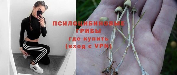 гашиш Заводоуковск