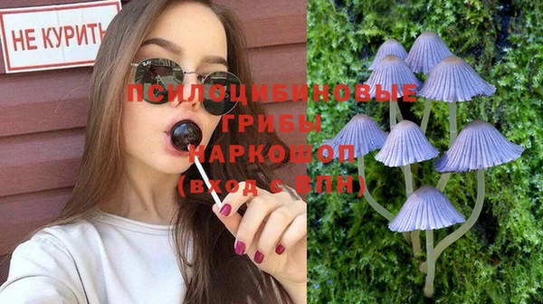гашиш Заводоуковск