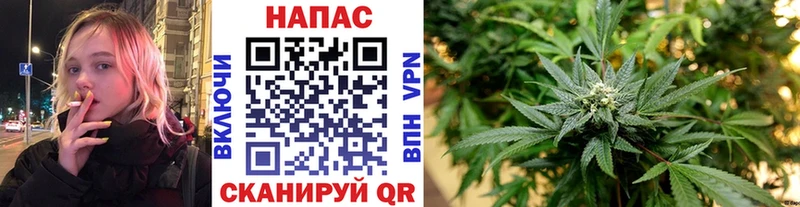 Купить  Малмыж  Конопля MAZAR 